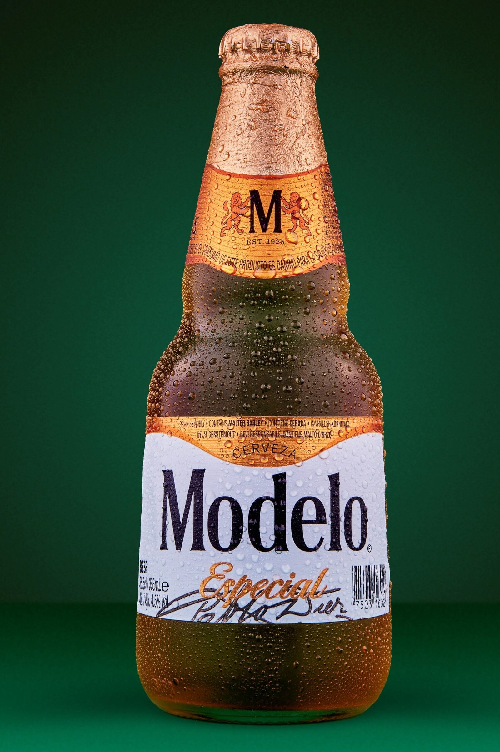 Modelo Drink